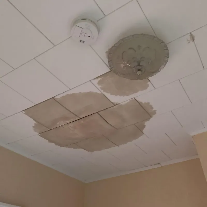 Ceiling Water Damage Repair in Mansfield, MA