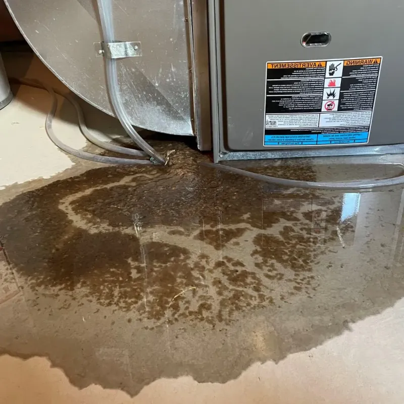 Pipe Burst and Leak Restoration in Mansfield, MA